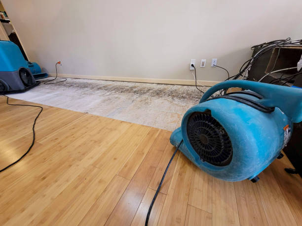 Professional Sewage Cleanup technician working in East Carondelet, IL